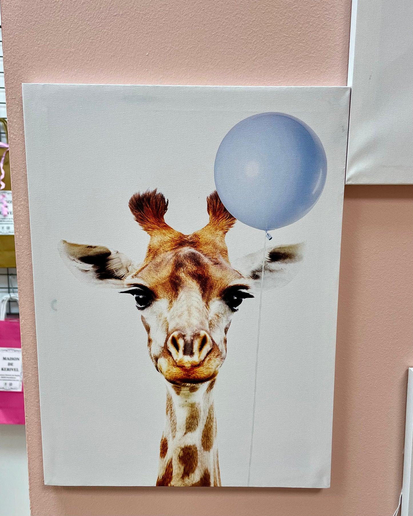 Toile animaux et ballon