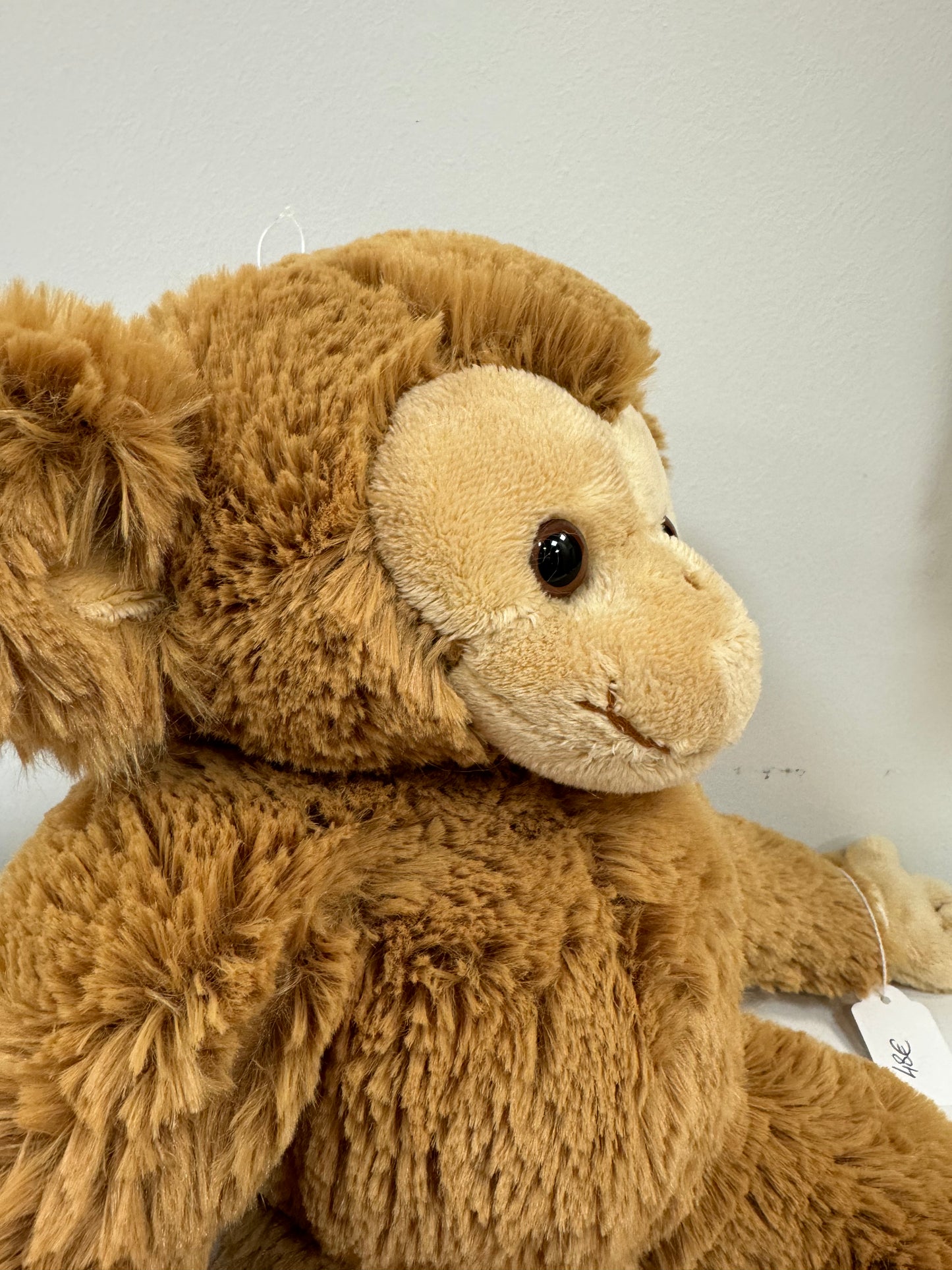 Bernard et Denis Peluches Bukowski