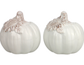 Set sel et poivre citrouilles "Happy Harvest" en céramique — Hoff Interieur