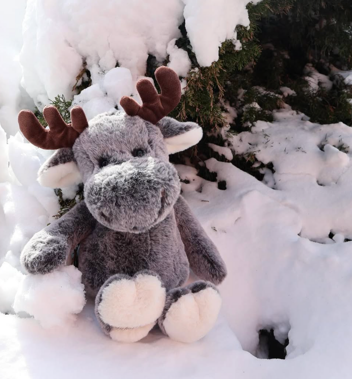 Peluche Atlas Bukowski