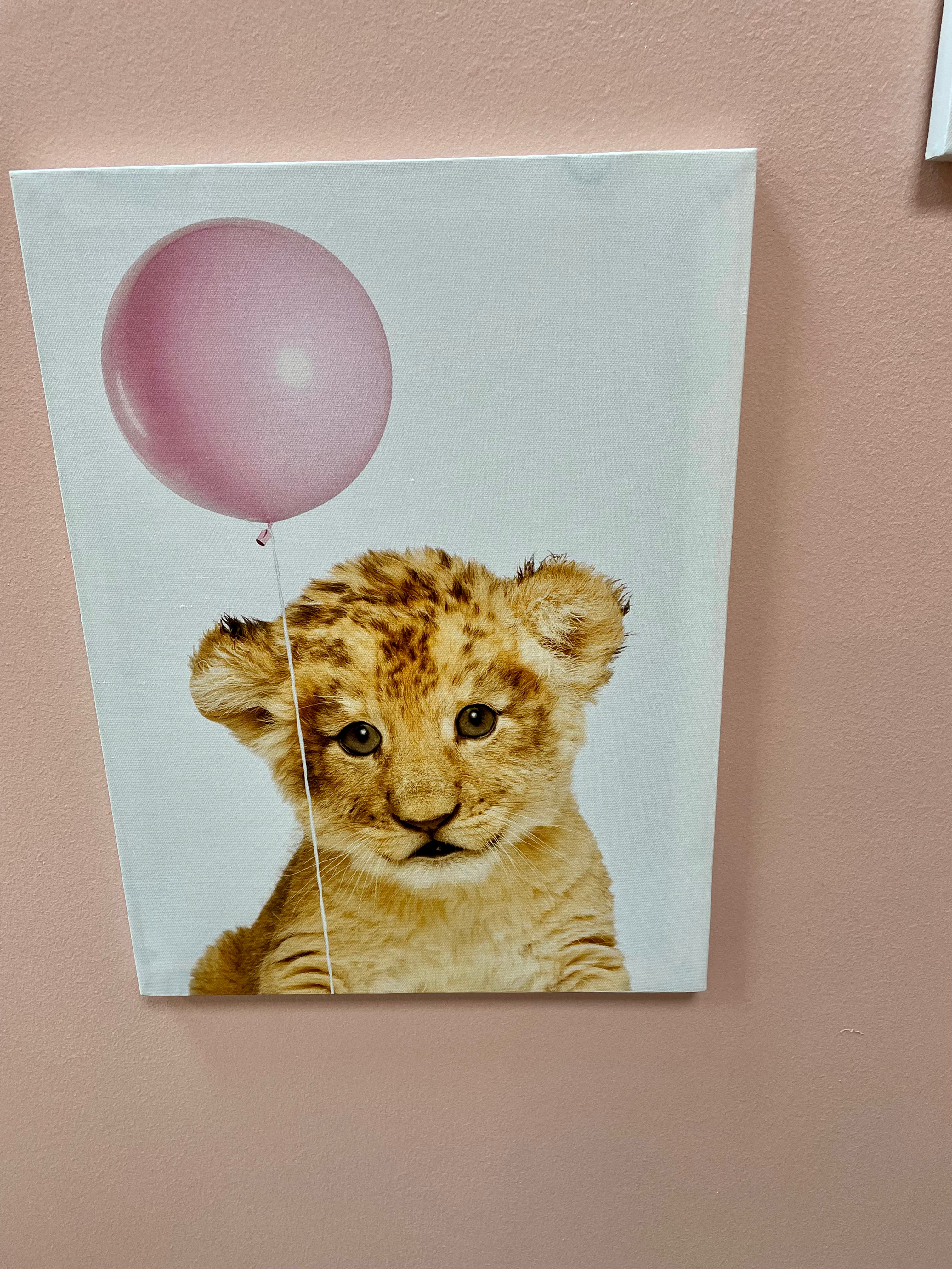 Toile animaux et ballon