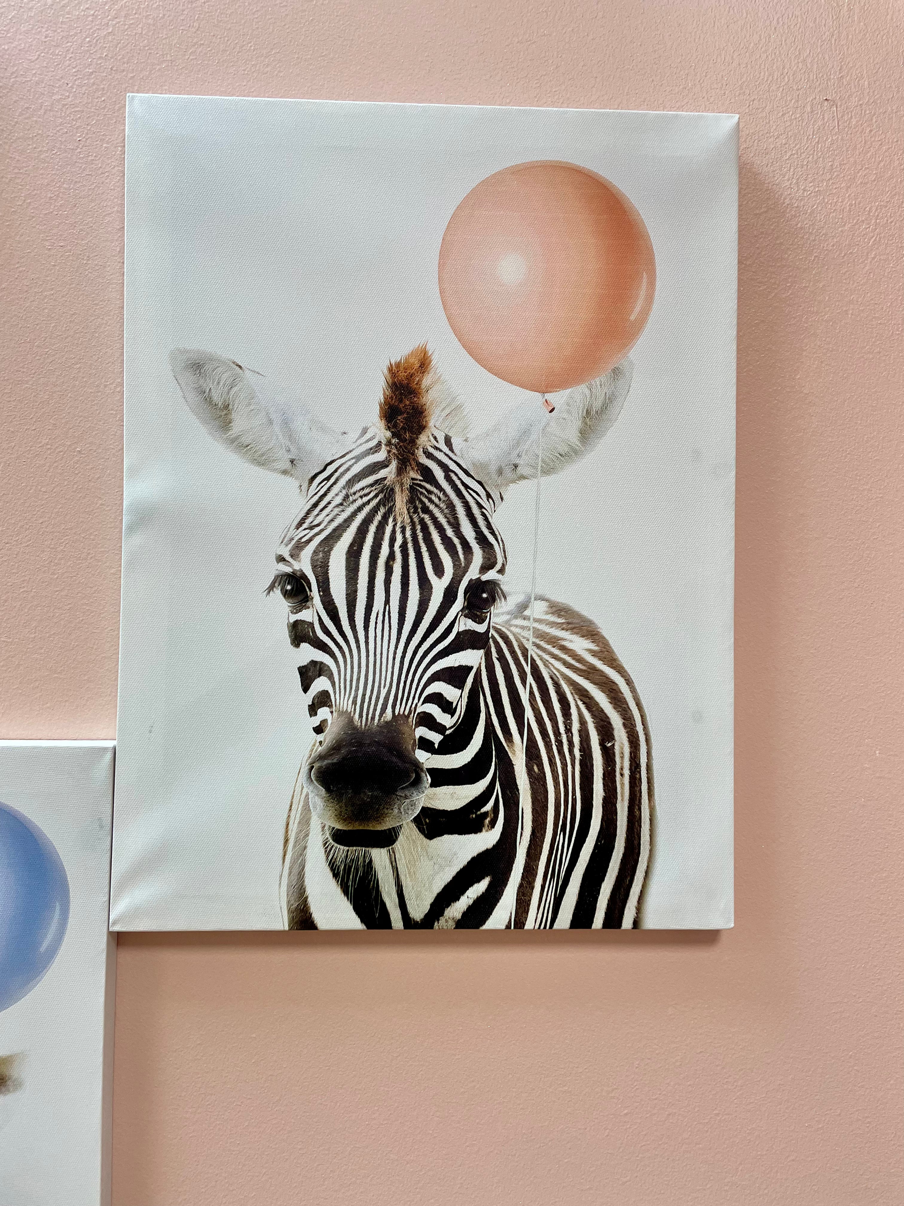 Toile animaux et ballon