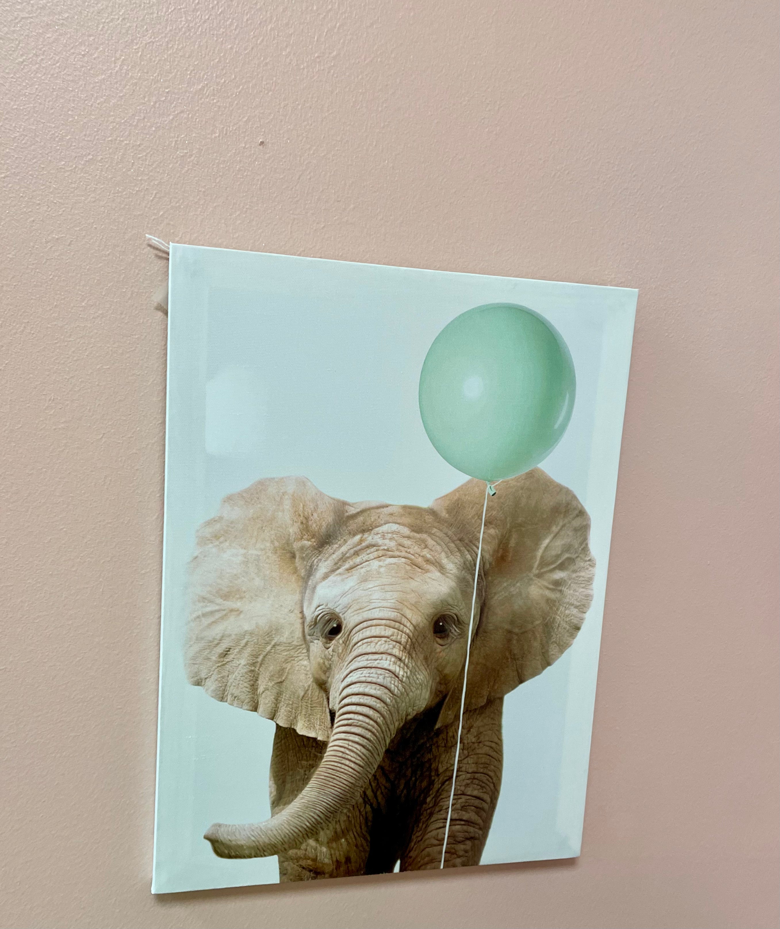 Toile animaux et ballon