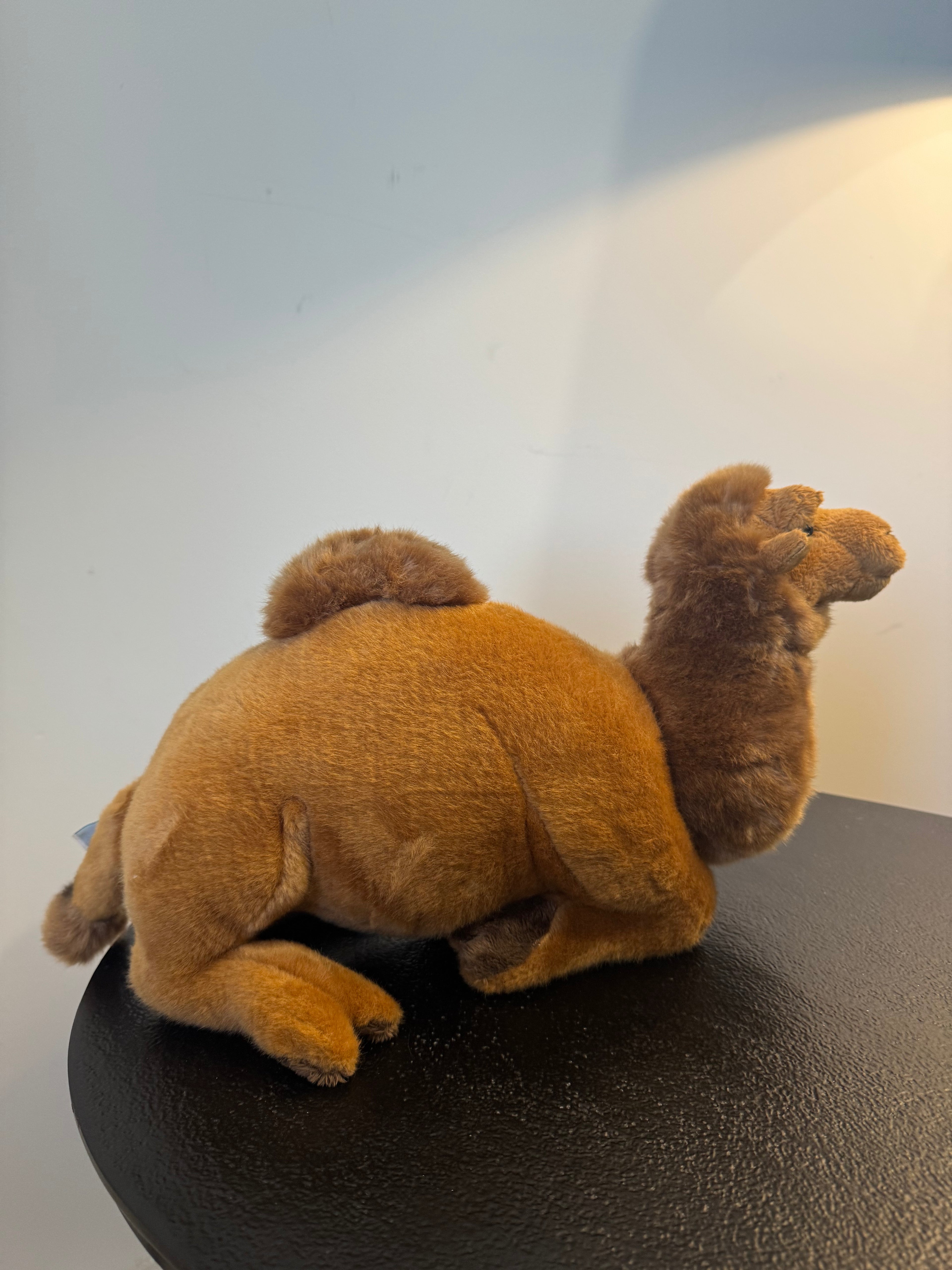 Peluche dromadaire couché marron — Anima (L 35 cm)